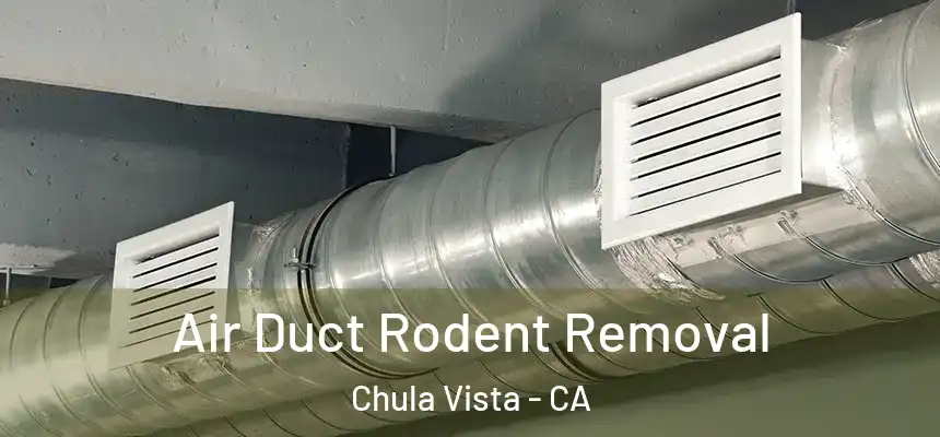 Air Duct Rodent Removal Chula Vista - CA