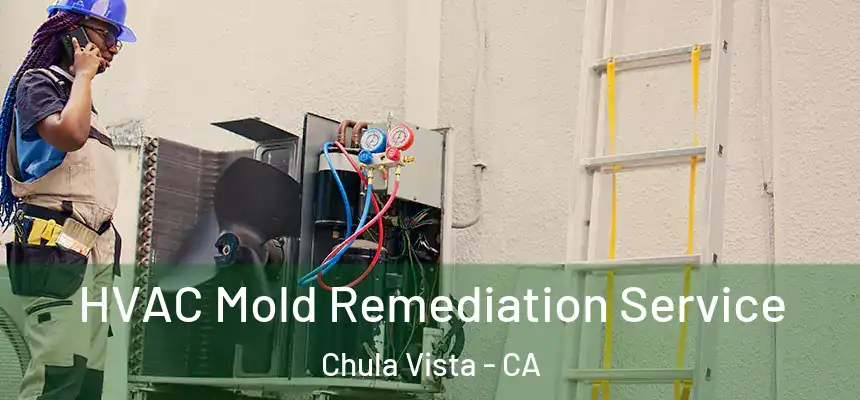 HVAC Mold Remediation Service Chula Vista - CA