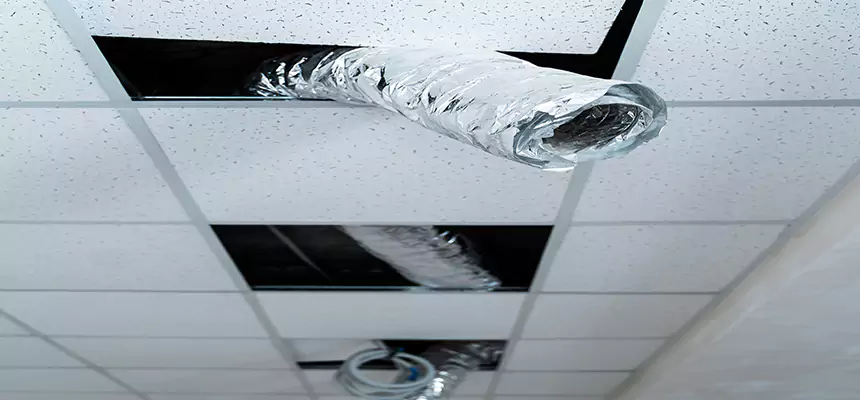 Our Air Duct Pet Hair Removal Services in Chula Vista, CA