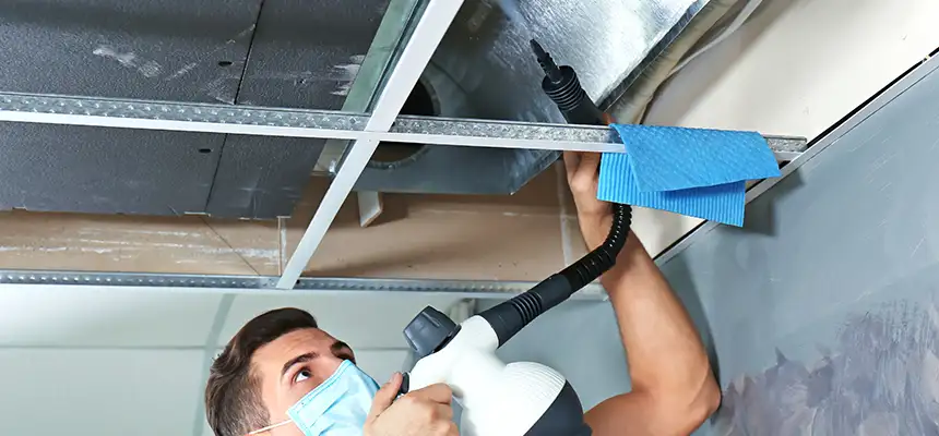 Our Air Duct Rodent Removal Services in Chula Vista, CA