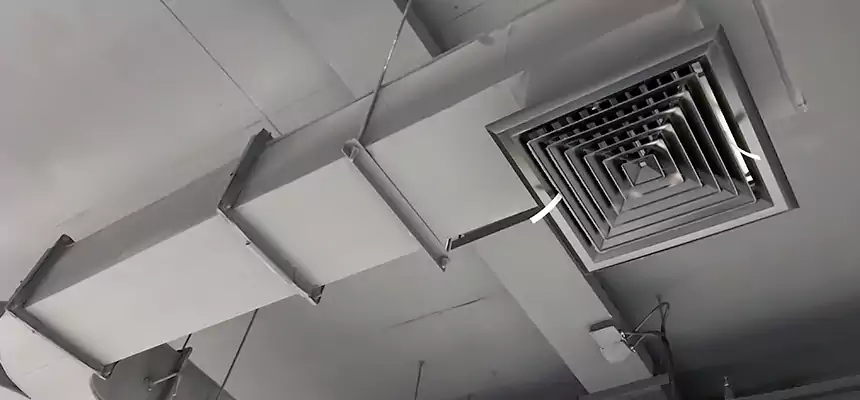 Restorative Allergy Relief Vent Cleaning – Coil, Blower & Housing Detail in Chula Vista