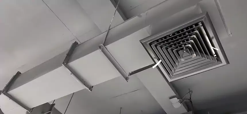 Our Pest Removal From Ducts Services in Chula Vista, CA