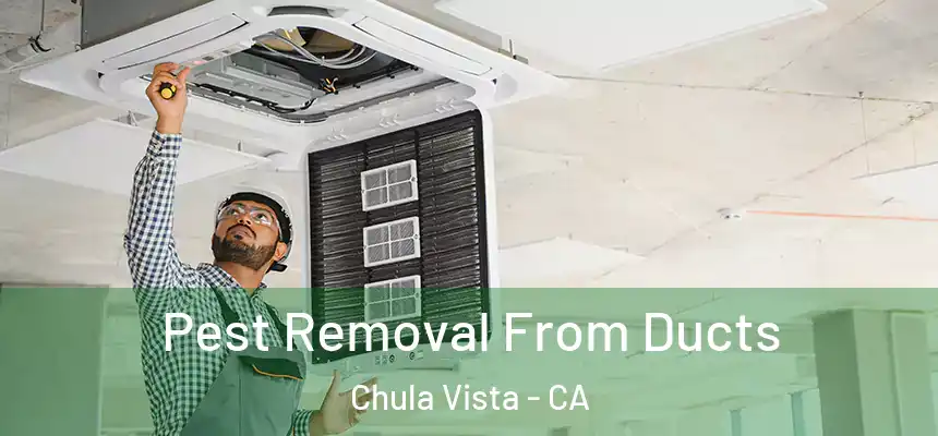 Pest Removal From Ducts Chula Vista - CA