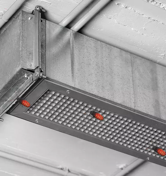 About Air Duct Cockroach Removal in Chula Vista, CA