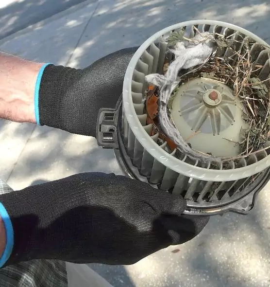 About Air Duct Mice Removal in Chula Vista, CA