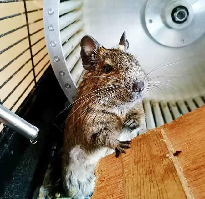 Why Homeowners & Businesses Trust Us Chula Vista, CA?