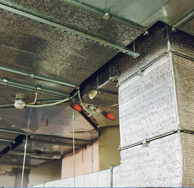 Why Homeowners & Businesses Trust Us Chula Vista, CA?